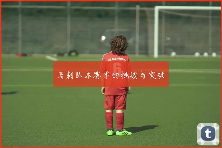 马刺队本赛季的挑战与突破